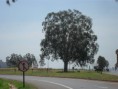 /album/niver-de-integrante/a60674-445712032147782-1663718317-n-jpg/