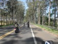 /album/niver-de-integrante/a488028-445712395481079-377861608-n-jpg/
